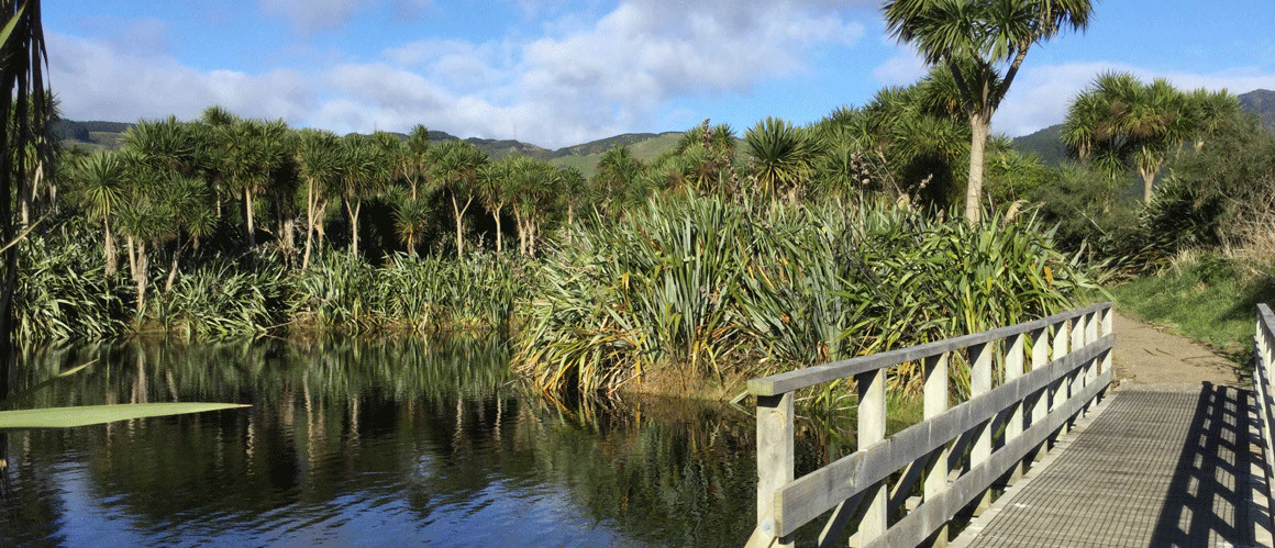 A track and bridge over native wetlands at QE2 Regional Park Kapiti