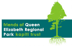 Kapiti Biodiversity Project works with Friends of QE Park Kapiti Trust.