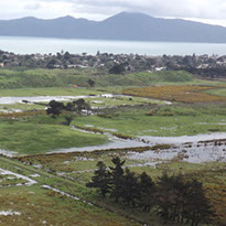 Farmland at QE Park Kapiti