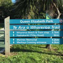 The cycleway is one of many projects of the Friends of QE Park Kapiti Trust.