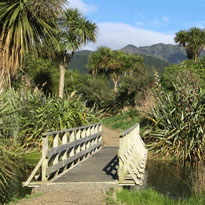 Stream and wetland restoration is one of the key projects of the Friends of QE Park Kapiti Trust.